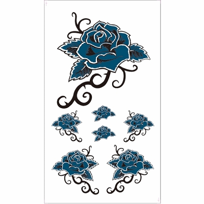 �^�g�D�[�V�[���@���K�N�E�g���C�o��