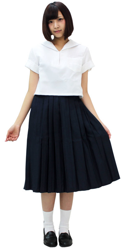 �_�˂̏��q�����w�Z�i�ĕ��j�@�l