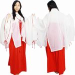 �ޏ�����i�H�D�t�j