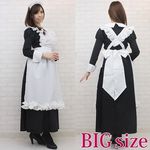 �}���[�����O���C�h�@�a�h�f