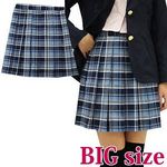 �`�F�b�N���v���[�c�X�J�[�g�@�a�h�f