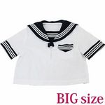 �����Z�[���[�u���E�X�P�i�@�a�h�f