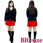 ���n�v���[�c�X�J�[�g�@�ԁ@�a�h�f